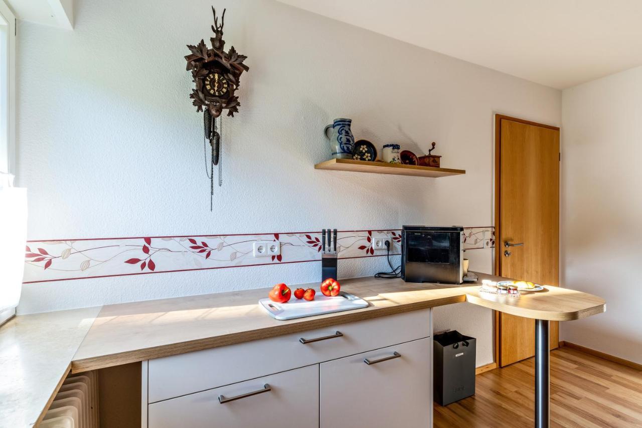 Ferienwohnung Kuckucksnest Lahr  Exteriér fotografie